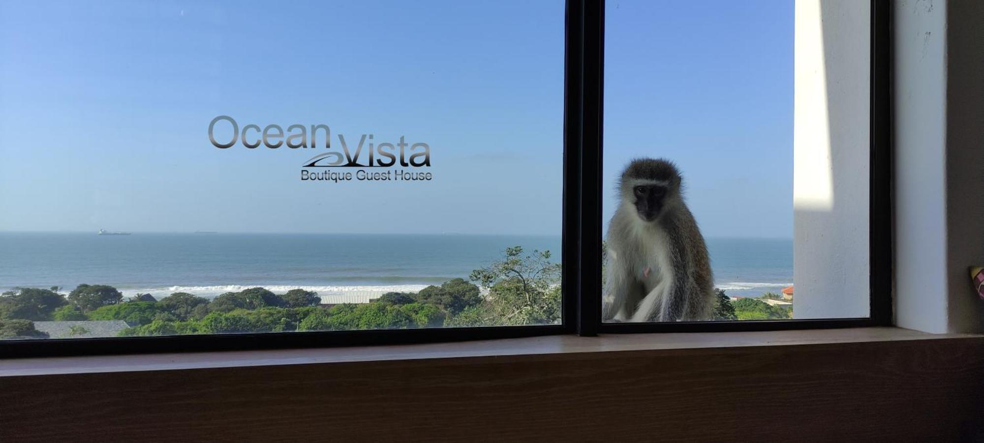 Ocean Vista Boutique Guest House Durban Eksteriør billede