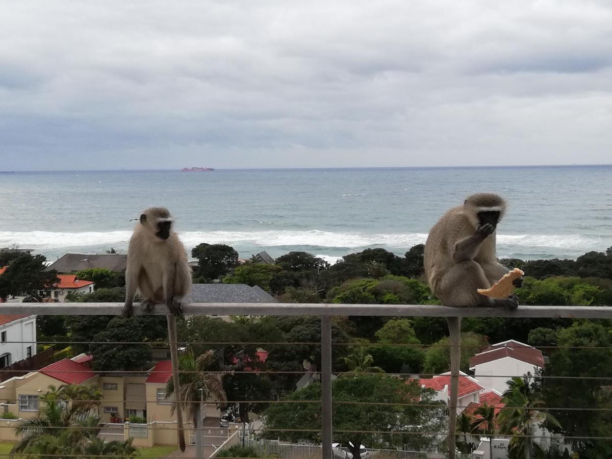 Ocean Vista Boutique Guest House Durban Eksteriør billede